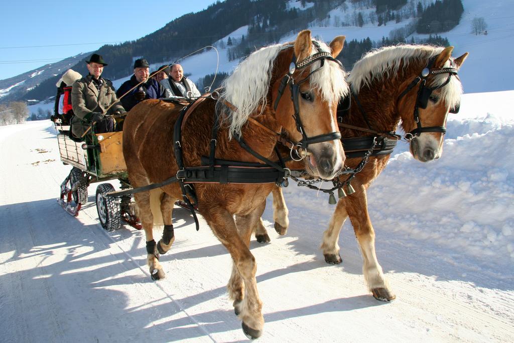 Haus Alpina Ski In & Ski Out Schladming Εξωτερικό φωτογραφία