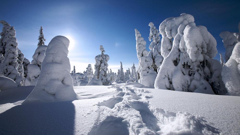 Haus Alpina Ski In & Ski Out Schladming Εξωτερικό φωτογραφία