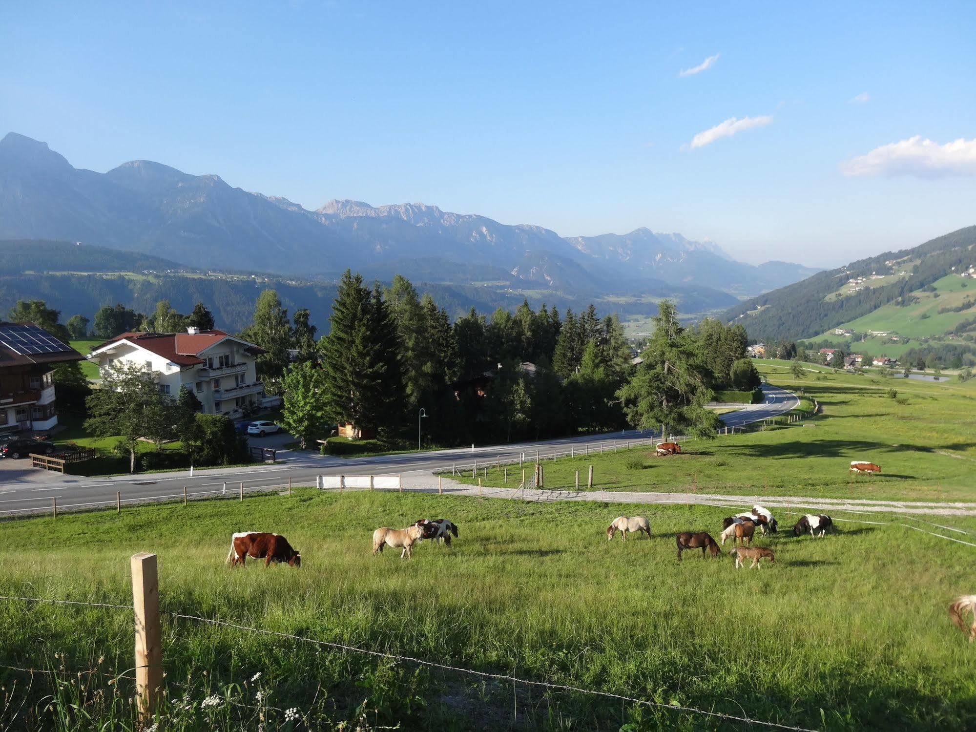 Haus Alpina Ski In & Ski Out Schladming Εξωτερικό φωτογραφία