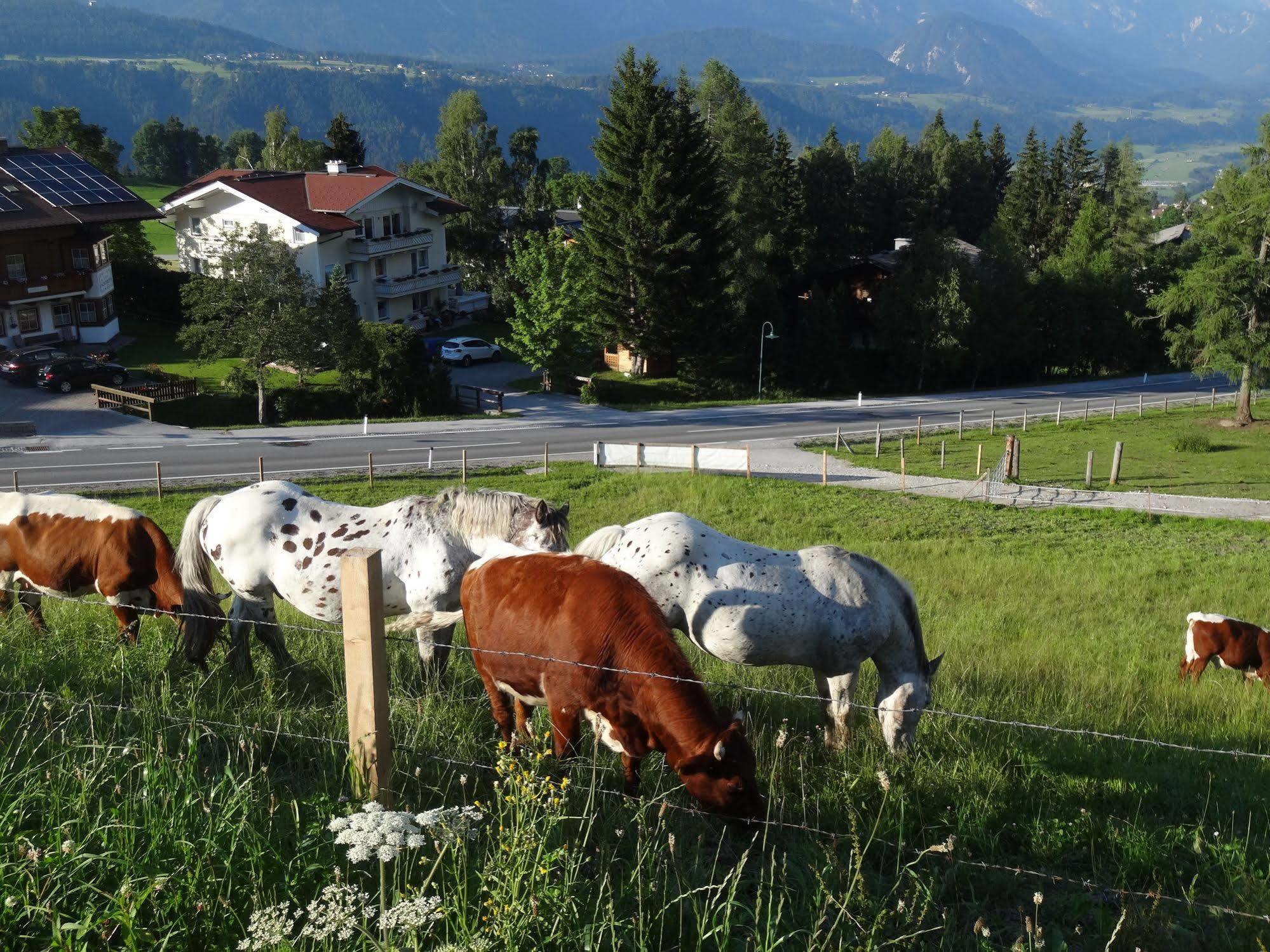 Haus Alpina Ski In & Ski Out Schladming Εξωτερικό φωτογραφία